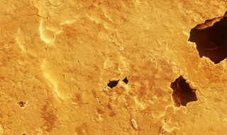 Illustration for article titled ¿Imagen microscópica o paisaje extraterrestre? Adivina cuál es cuál